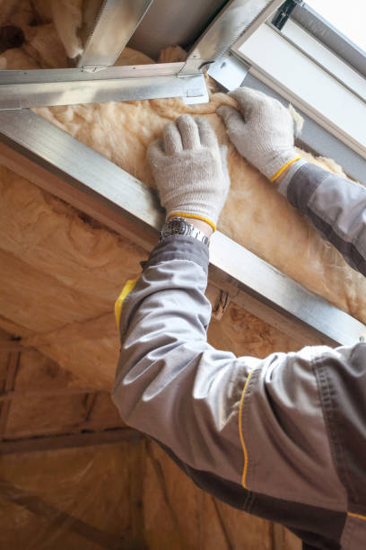 Best Professional Insulation Contractor  in West Miami, FL