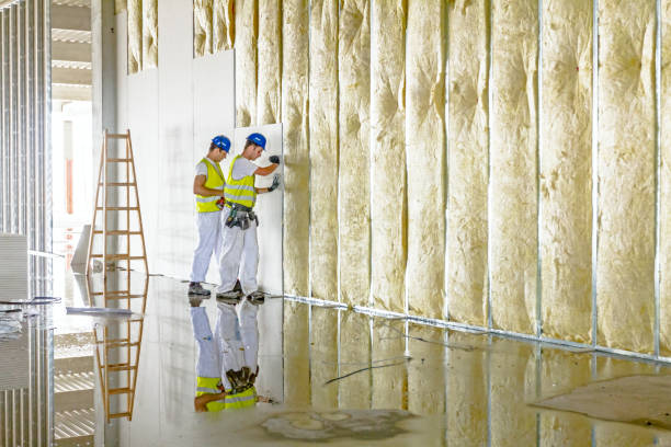 Best Insulation Replacement Services  in West Miami, FL